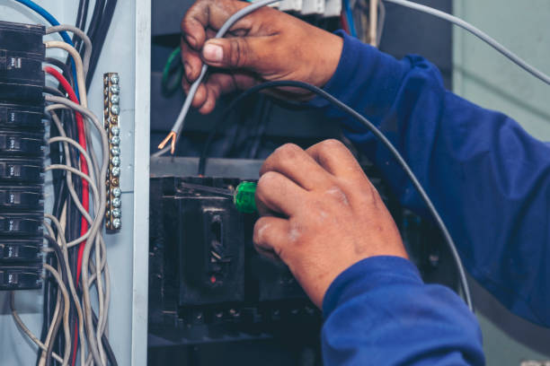 Best Electric Panel Repair  in Bono, AR